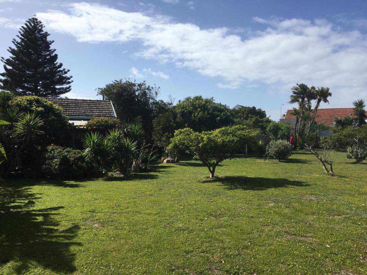 Amor Da Vida Port Elizabeth Eksteriør billede